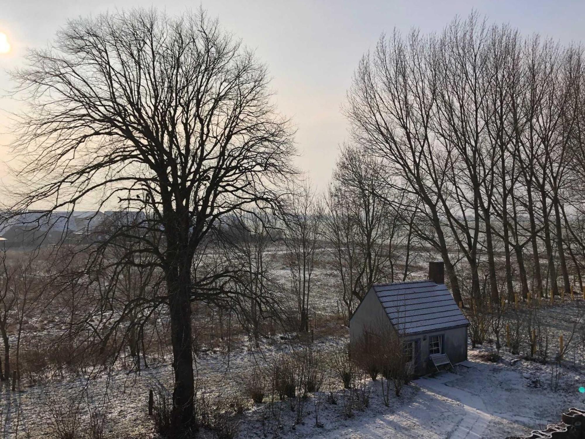 Gulfhof Friedrichsgroden Villa Carolinensiel Eksteriør bilde